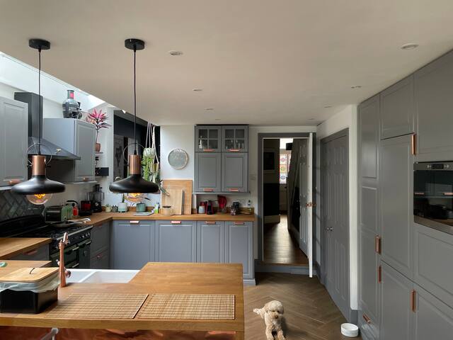 Beautiful Modern Victorian House gallery image 5