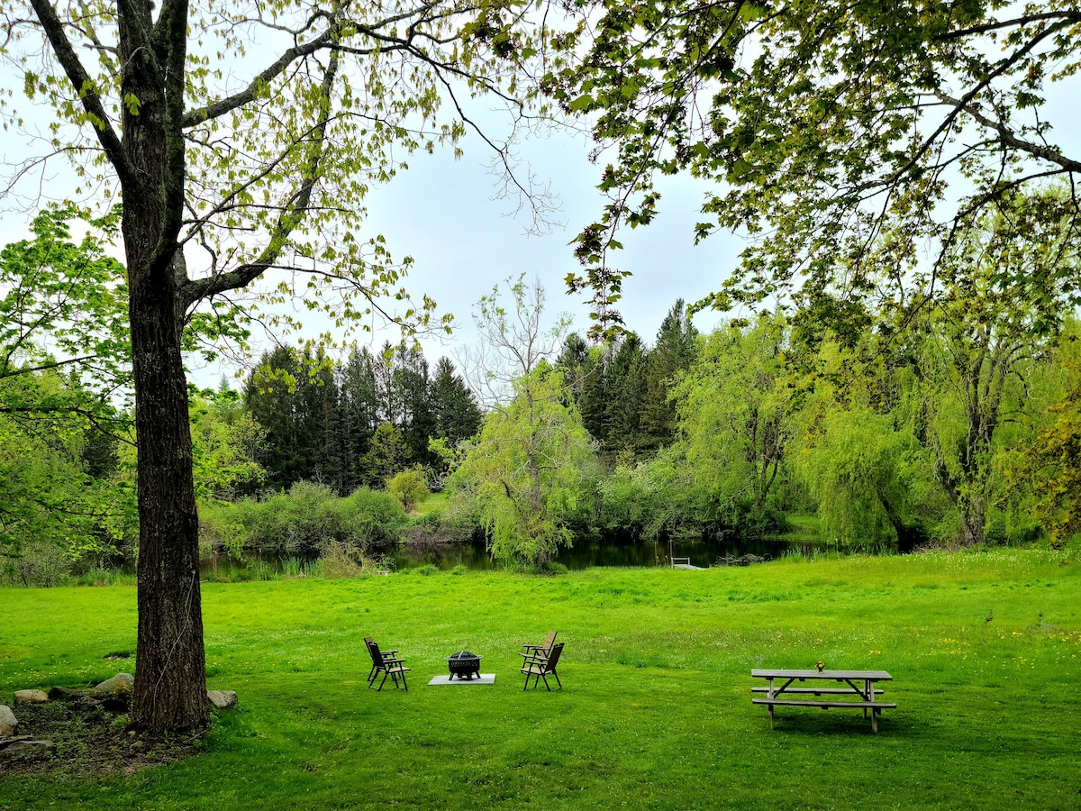 A serene outdoor space features a grassy area framed by trees, overlooking a tranquil water feature. Two wooden chairs and a fire pit are positioned at the center, with a picnic table nearby. Lush greenery surrounds the scene, enhancing the natural beauty.