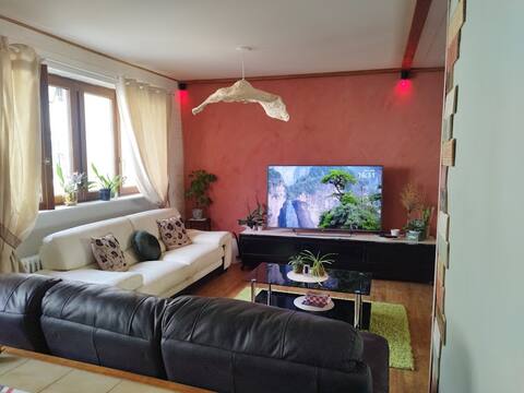 Le Passage du Faubourg, T3 in duplex of 120 m²