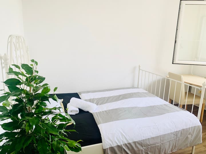 Dresden Vacation Rentals Airbnb