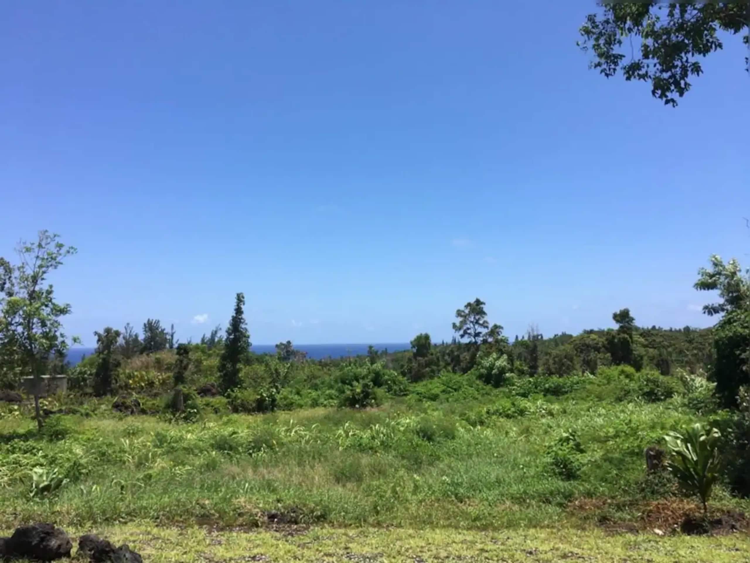 Guesthouse in Pahoa · ★4.86 · 1 bedroom · 1 bed · 1 private bath - Image 7