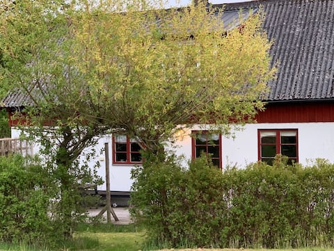 Peaceful house on a farm near Vitaby, Kivik, Österlen