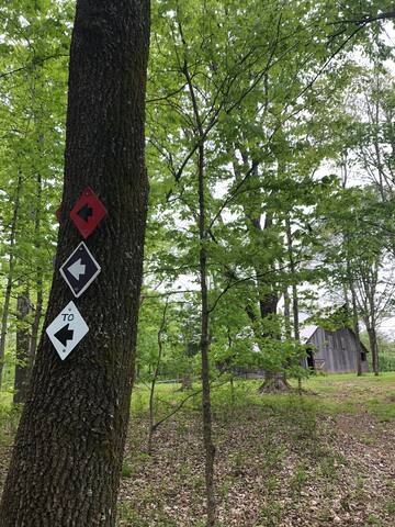 Camp Ondessonk managed Airbnb listing 1