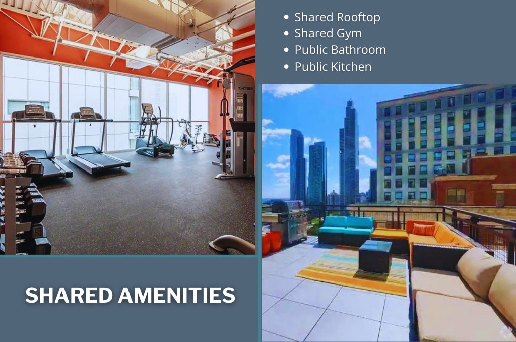 A spacious gym area is equipped with various exercise machines and weights. A colorful shared rooftop features comfortable seating and a vibrant area rug, overlooking tall city buildings and a clear sky.
