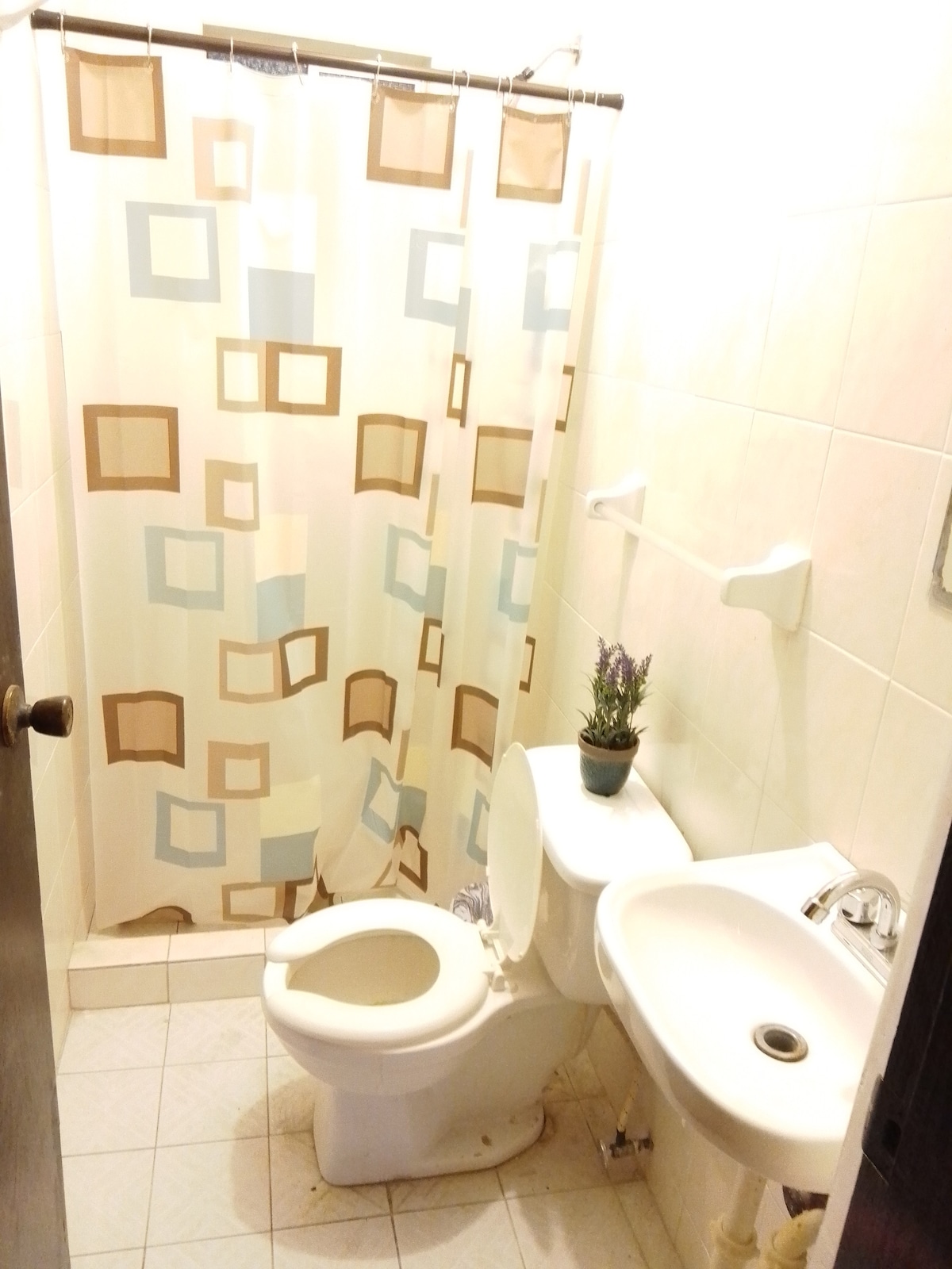A clean bathroom area features neutral tile walls and a light-colored floor. A shower curtain with a geometric pattern provides privacy. A small plant sits on the sink, and essential fixtures, including a toilet and washbasin, are positioned neatly.