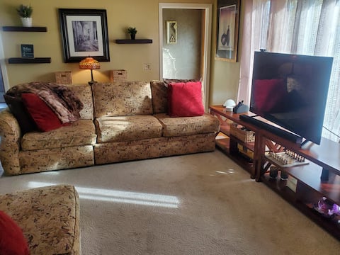 Successful Airbnb property: Cozy oasis 20 min from Nia. Falls & Bills Stadium in Cheektowaga