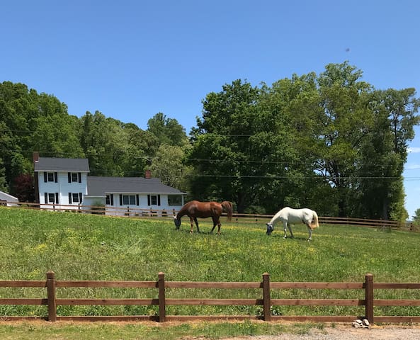 Listing in Asheville