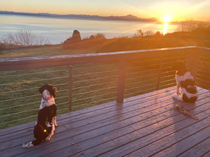 Point Roberts Vacation Rentals & Homes Washington, United States Airbnb