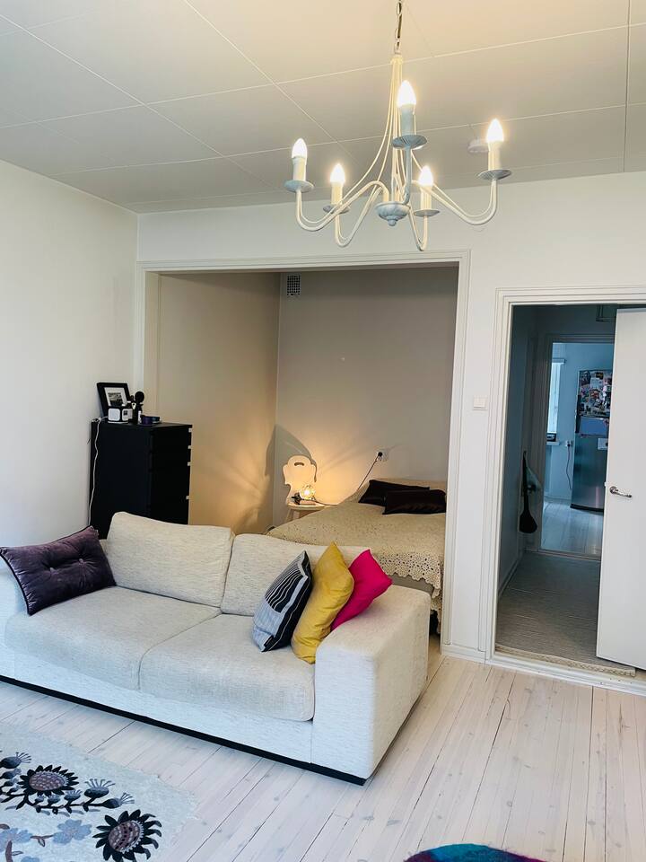 Spacious Studio / Spacious Studio Apartment Apartments for Rent in