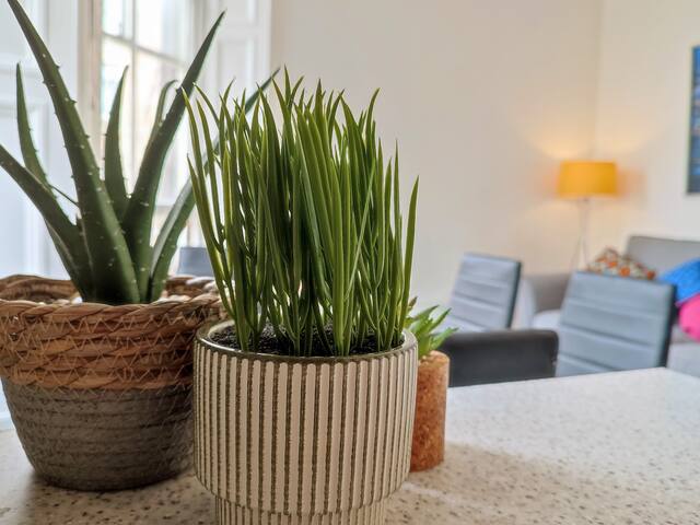 Magic of Meadows 4 Bedroom Spacious Flat gallery image 4