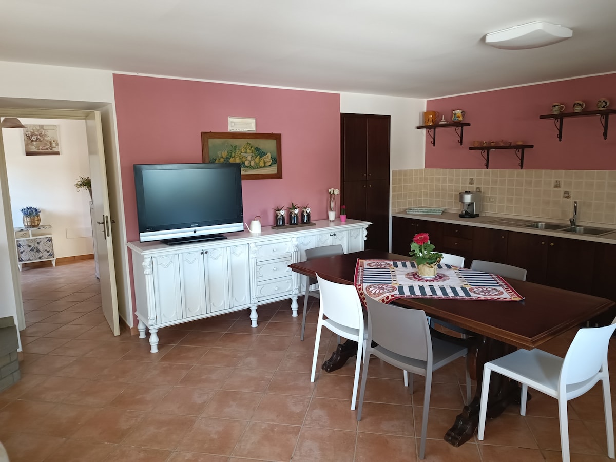 A dining area features a wooden table surrounded by white chairs, with a vibrant centerpiece. A large television is positioned on a white dresser against a pink wall. A kitchenette is visible in the background, equipped with shelves and basic kitchenware.