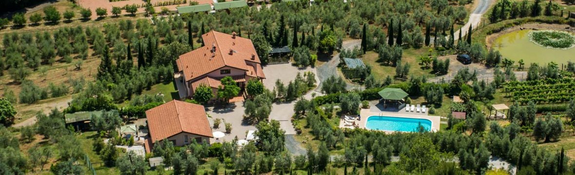 An aerial view showcases a rustic property surrounded by olive trees and lush greenery. The structure features a terracotta roof and is complemented by a swimming pool and several outdoor seating areas, enhancing the serene landscape of the Tuscan countryside.