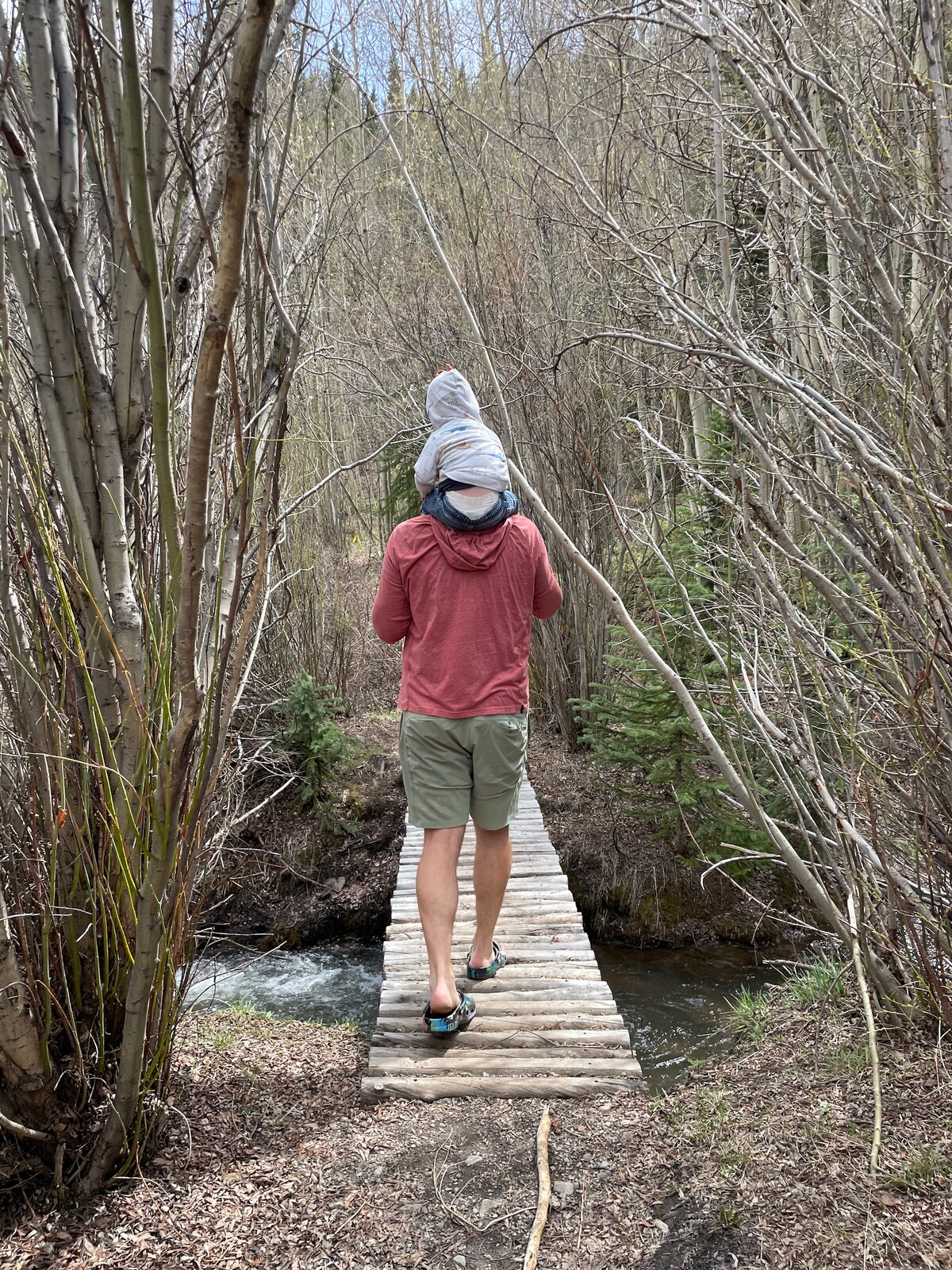 A narrow wooden bridge stretches over a gently flowing creek, surrounded by slender trees and budding greenery. A person carries a child on their back, both moving toward the tree-lined path ahead, creating a sense of adventure in a serene nature setting.
