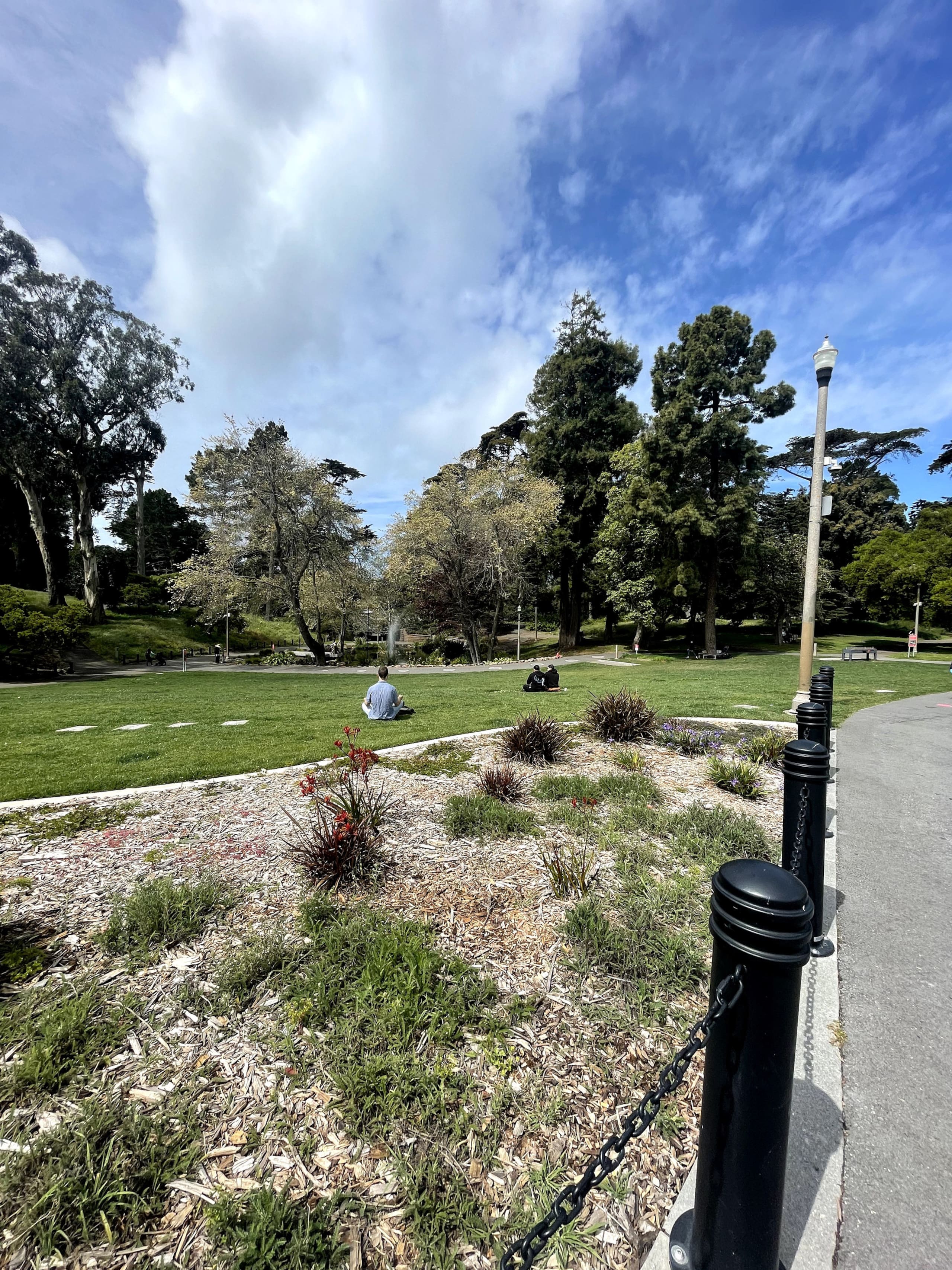 Home in San Francisco · ★4.94 · 3 bedrooms · 3 beds · 2.5 baths - Image 41