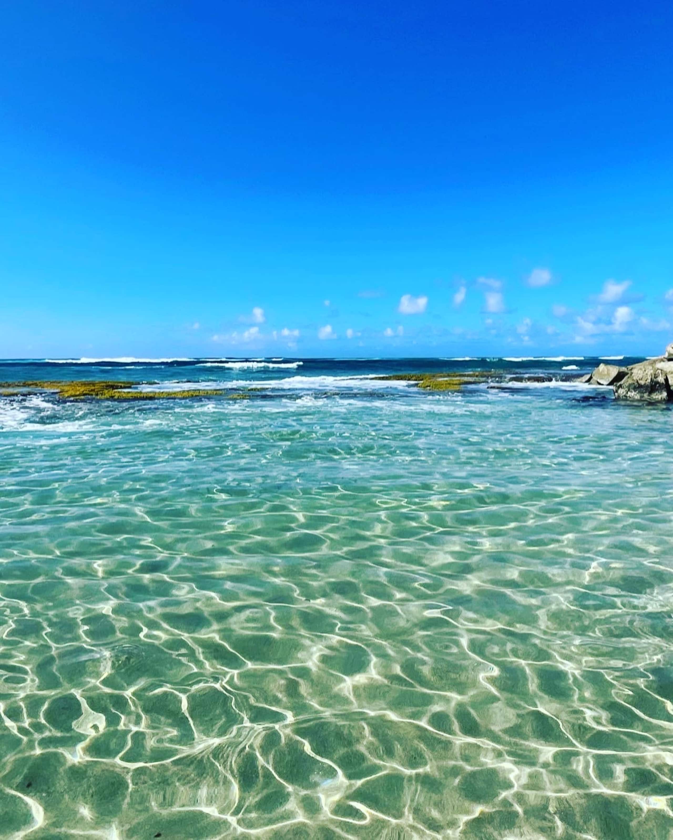 Condo in Kahuku · ★4.97 · 1 bedroom · 2 beds · 1 private bath - Image 27