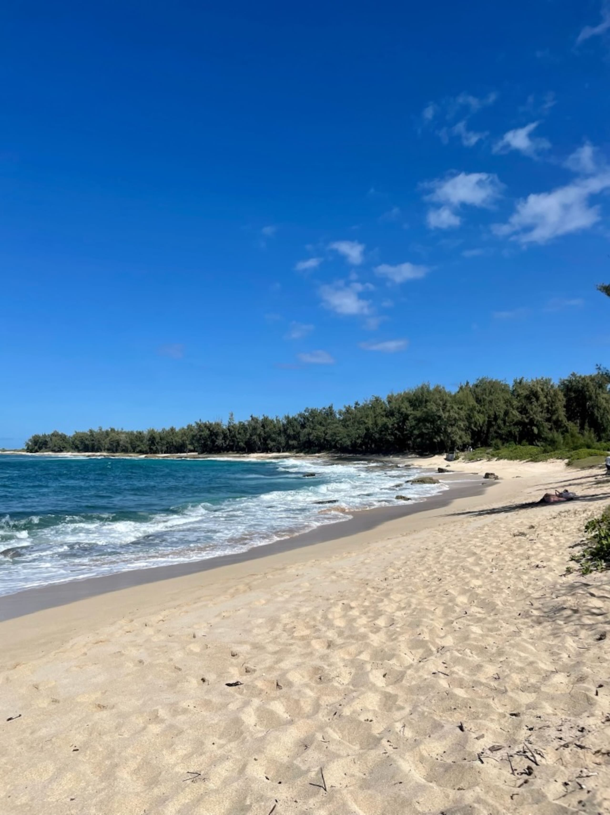 Condo in Kahuku · ★4.97 · 1 bedroom · 2 beds · 1 private bath - Image 35