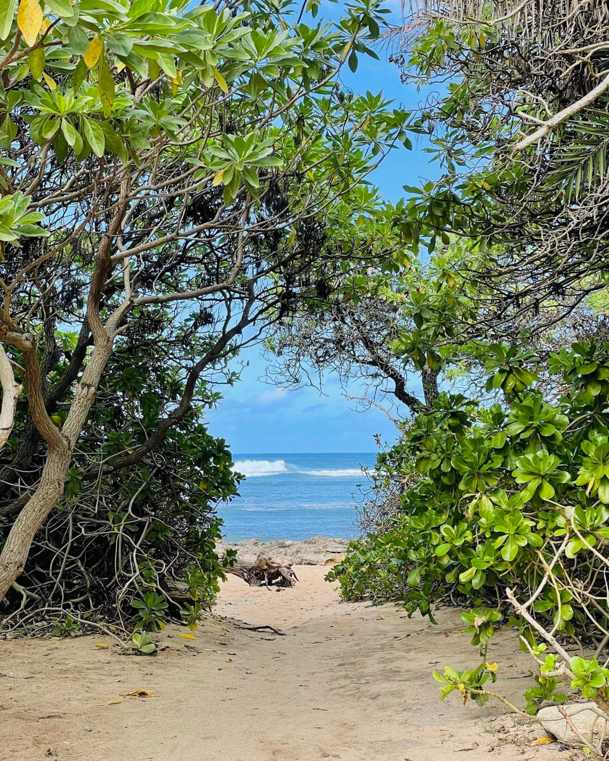 Condo in Kahuku · ★4.97 · 1 bedroom · 2 beds · 1 private bath - Image 38