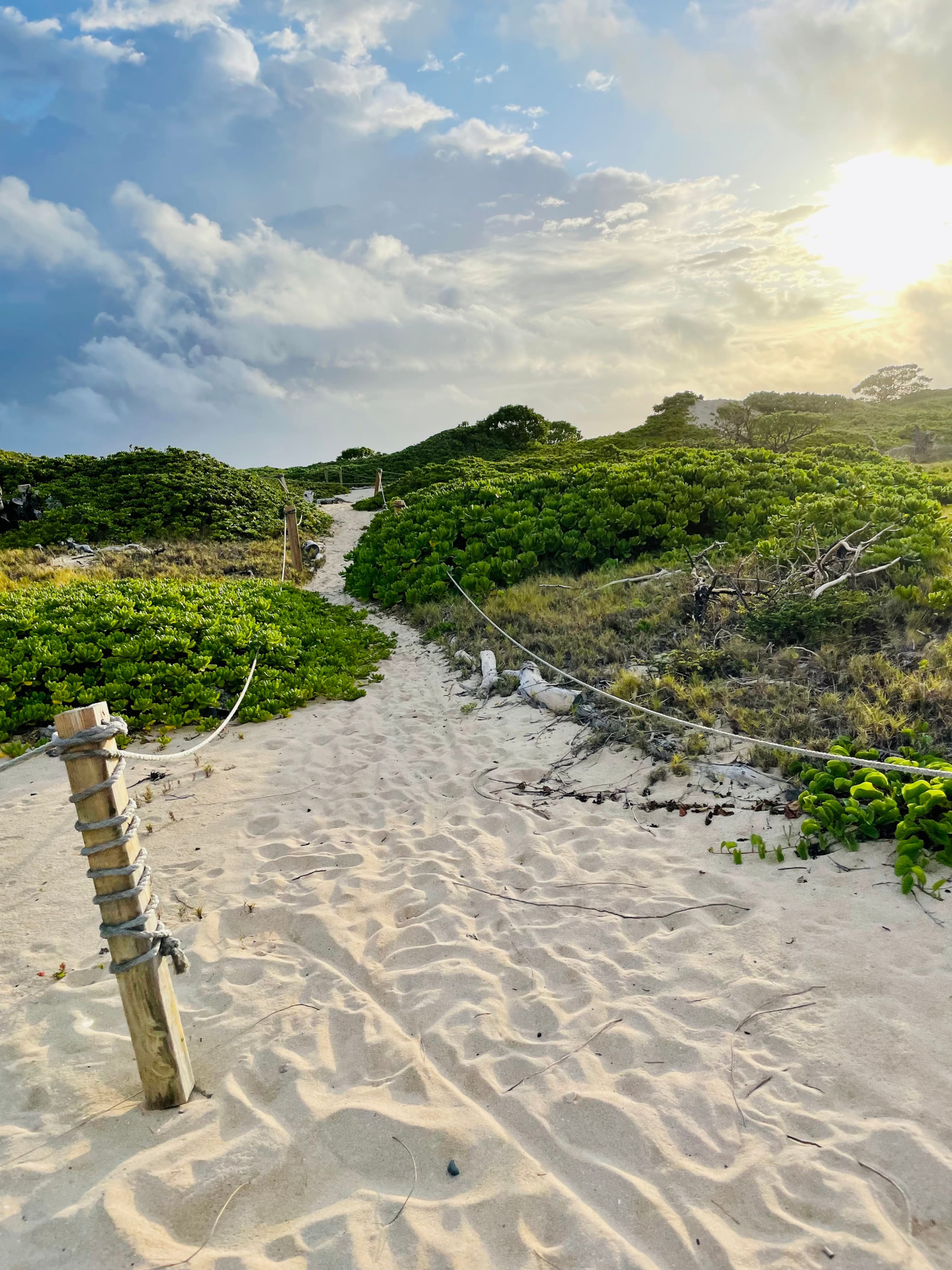 Condo in Kahuku · ★4.97 · 1 bedroom · 2 beds · 1 private bath - Image 30