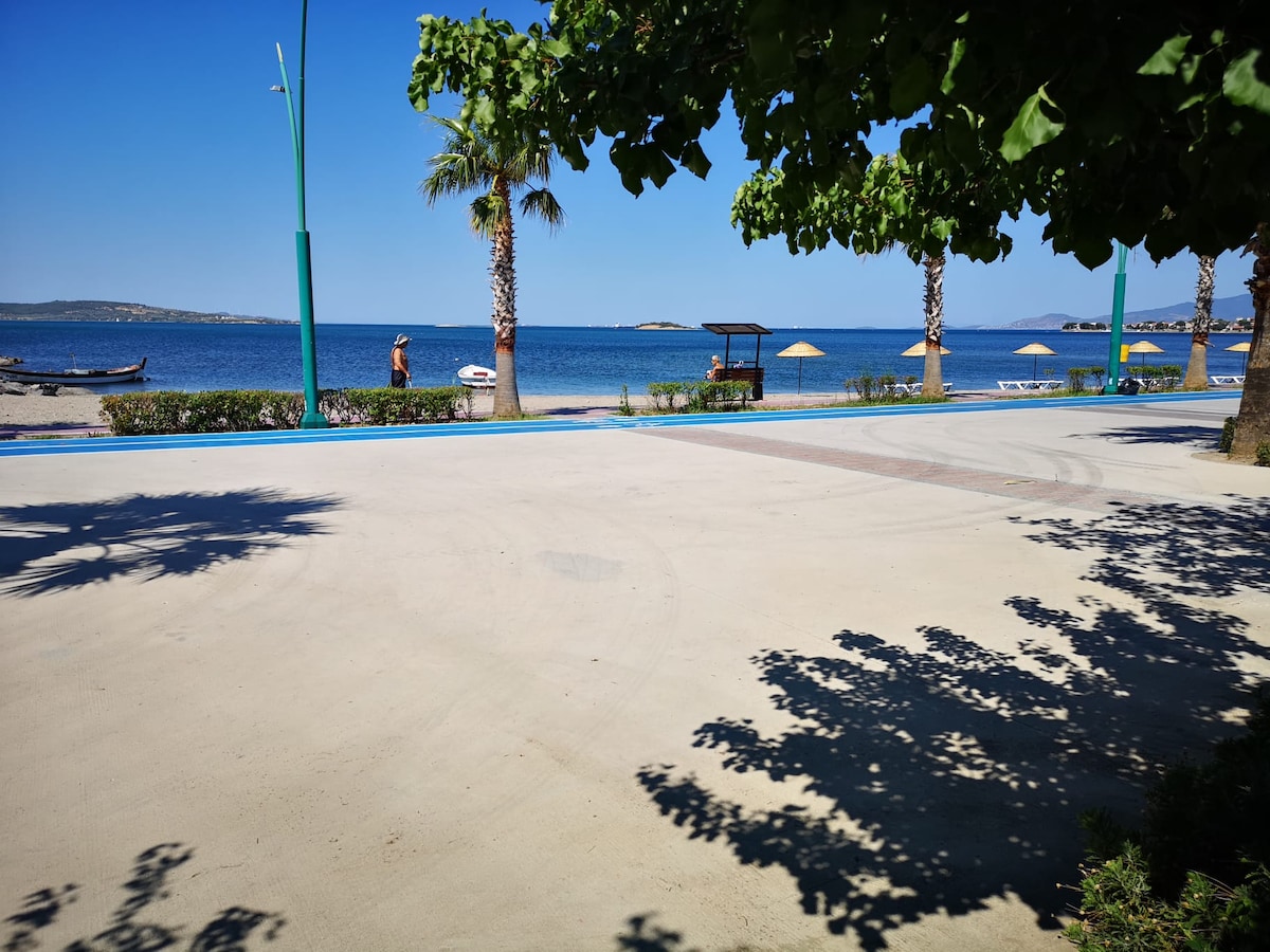 A sandy beach is visible in the background, with calm blue waters extending to the horizon. Palm trees provide shade along the water's edge, and a walkway appears to lead towards the beach. Sun loungers and umbrellas are placed along the shoreline.