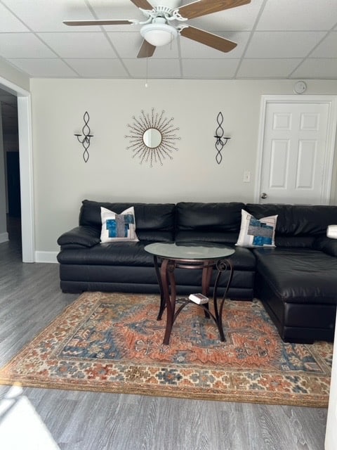 Top Airbnb: Adorable one bedroom,parking & private entrance. in Lilburn