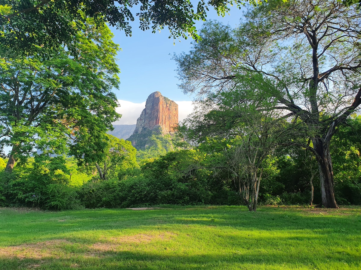 A scenic view of a prominent rock formation is framed by lush greenery. Tall trees surround the open grassy area, creating a serene atmosphere. The clear blue sky enhances the natural beauty of the landscape, inviting relaxation and exploration.