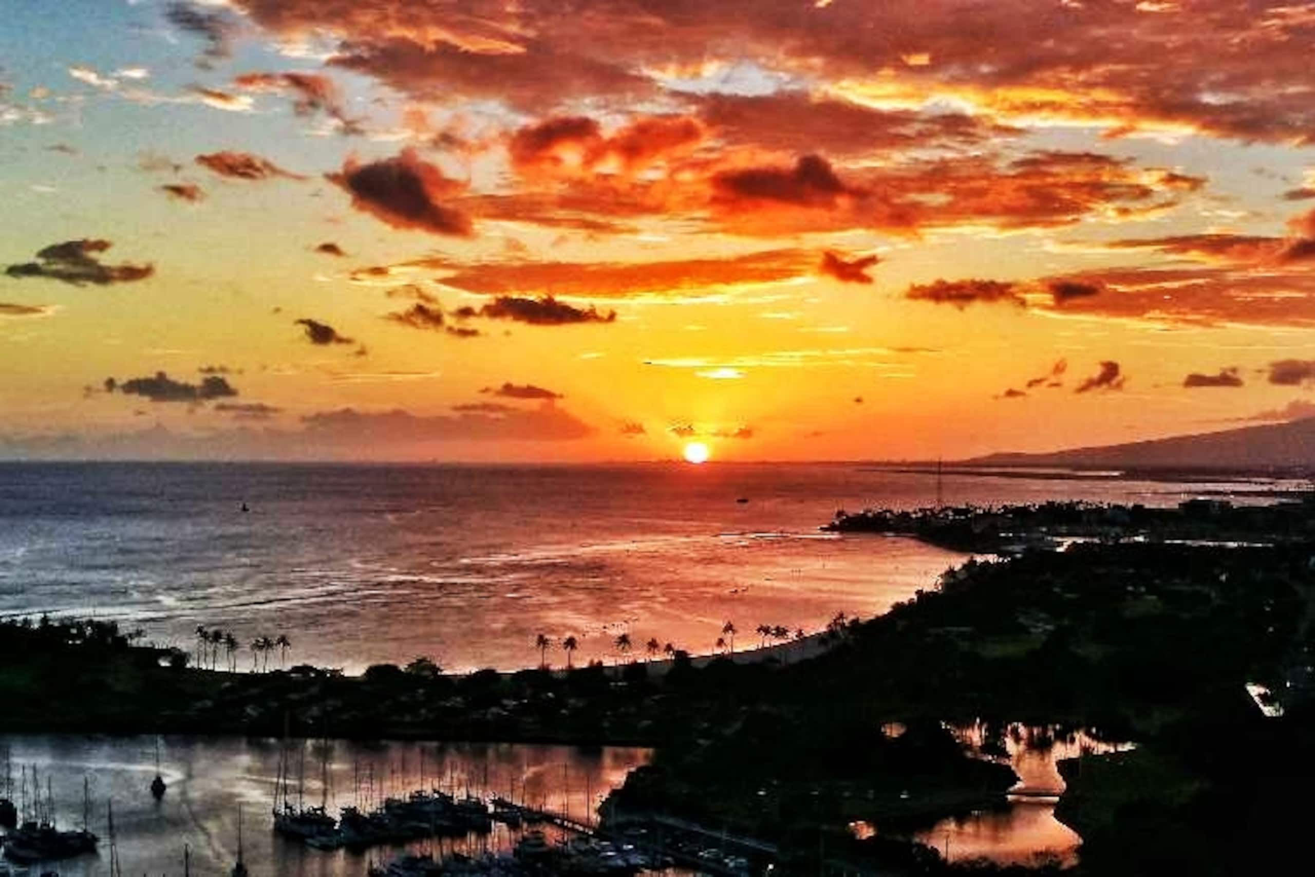 Condo in Honolulu · ★4.82 · Studio · 1 bed · 1 private bath - Image 12