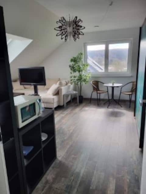 Beautiful bright room with private bathroom