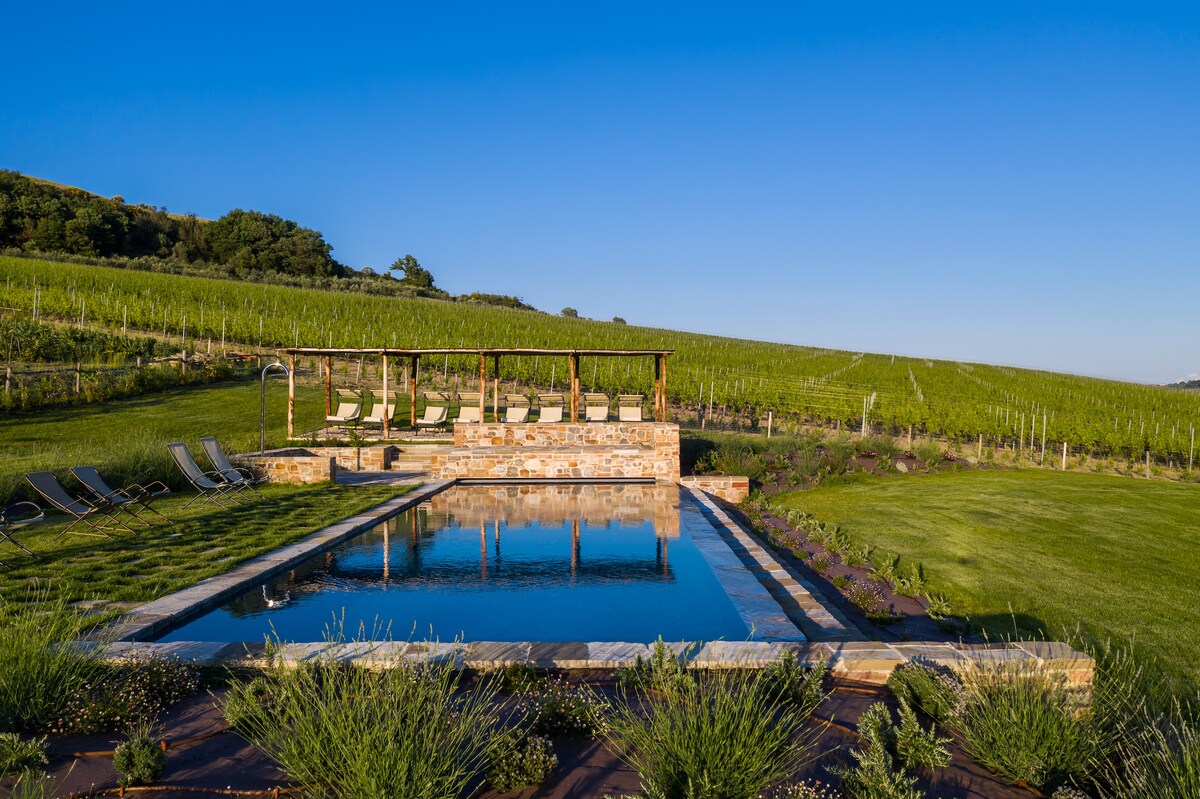 An outdoor swimming pool reflects the clear blue sky, surrounded by manicured grass and bordered by lavender plants. Comfortable loungers are positioned nearby under a pergola, with expansive vineyards stretching into the distance.