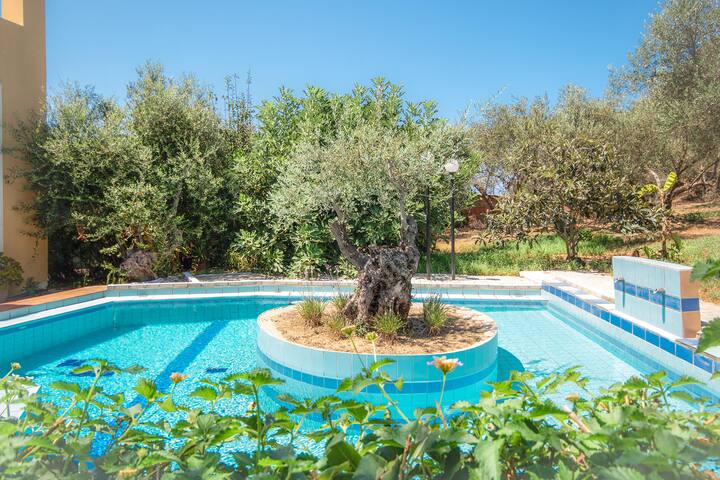 Olive Farm Villa gallery image 2