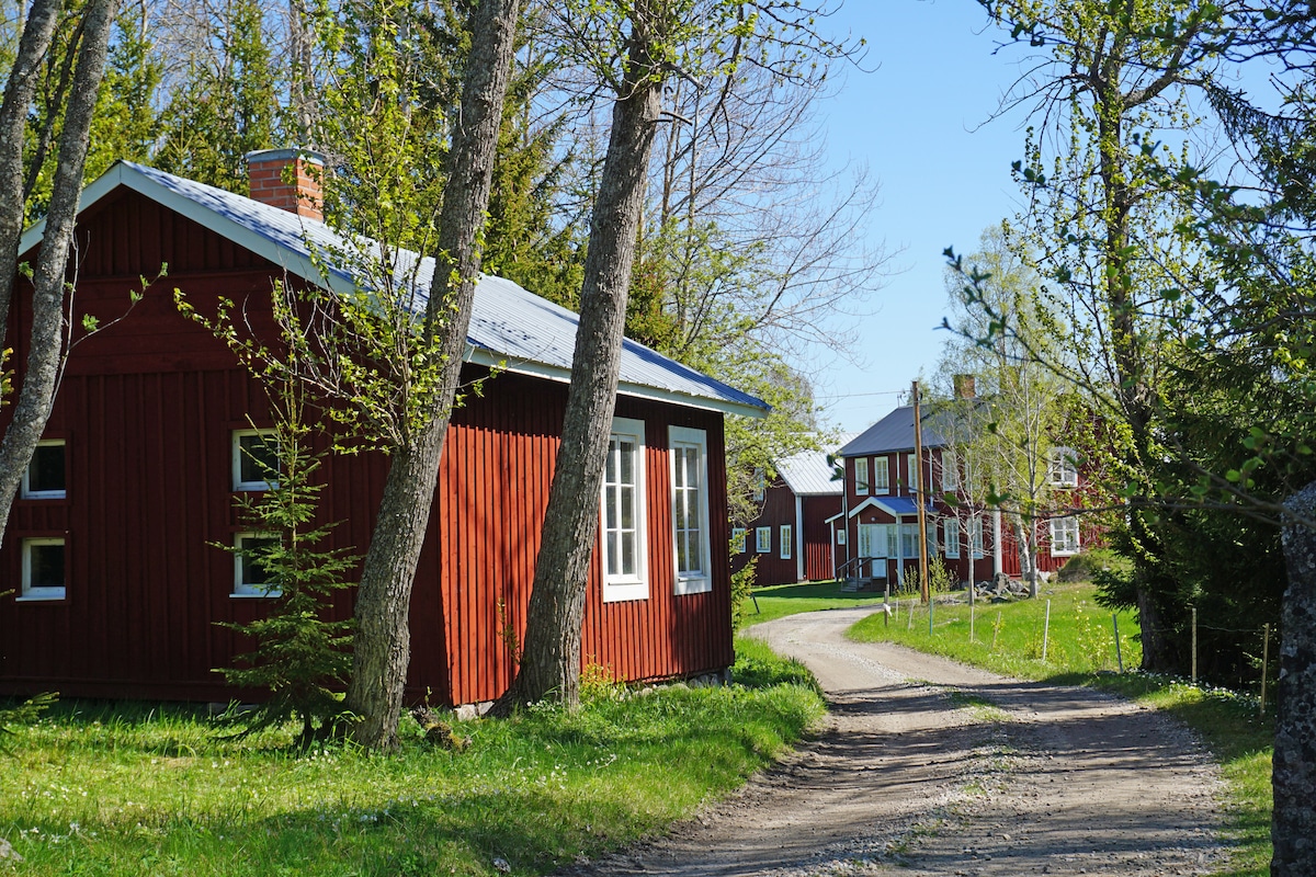 A scenic view of a winding dirt path leads through a lush green landscape. Red wooden buildings are visible, framed by trees and a clear blue sky. The buildings showcase traditional Swedish architecture, with large windows reflecting the sunlight.