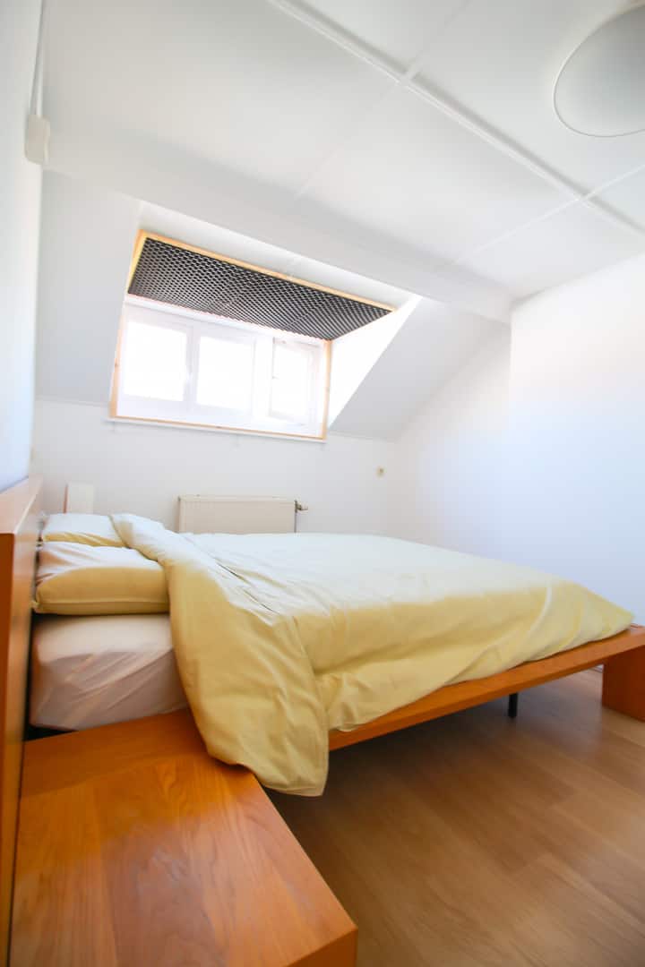 Woluwe St Lambert Renovated Apartment
