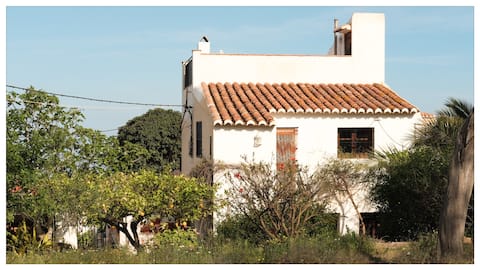 Charming, sea-view cottage in traditional village
