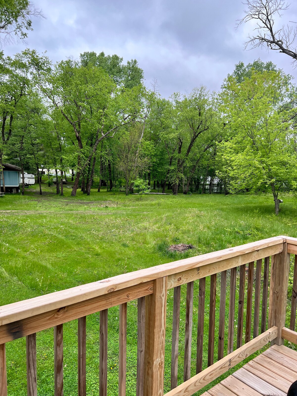 A view from a wooden deck overlooks a lush green yard, surrounded by tall trees. The expansive grassy area is highlighted by varying shades of green, with some clusters of bushes in the background creating a natural and serene environment.