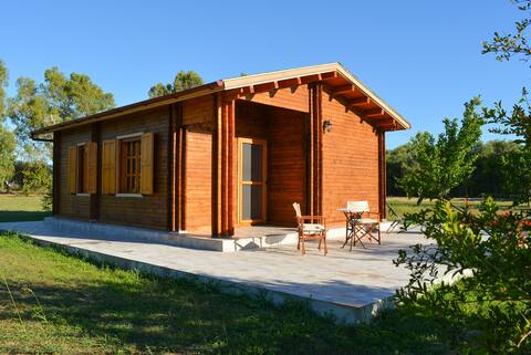 Naturae 1 to 5 guests