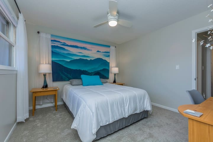 标准双人床卧室，配有蓝色山地挂毯、步入式衣橱，窗户朝向房源前方。