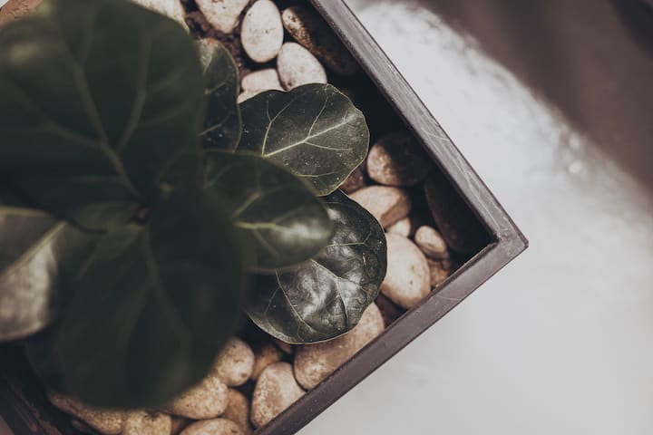 Loft en doble altura con patio en San Telmo