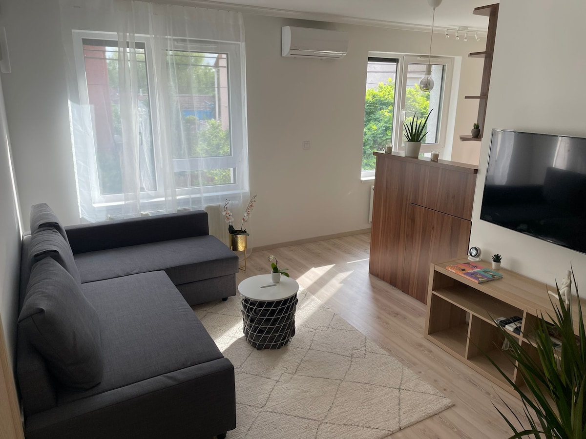 A modern living area features a gray sectional sofa positioned next to a white coffee table. Large windows allow ample natural light, enhancing the light wood flooring. A flat-screen TV is mounted on a wooden unit, complemented by decorative plants in the background.
