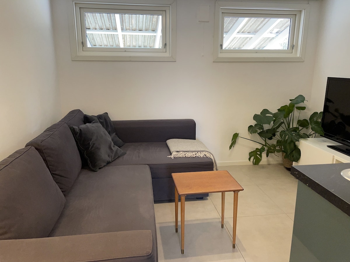 A comfortable seating area is presented with a spacious gray sofa featuring a sectional. A small wooden table is placed in front, surrounded by natural light streaming through two windows above. A green plant adds a touch of greenery to the corner.