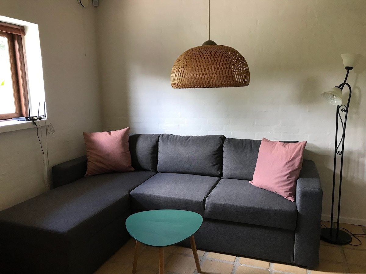 Kitanda cha sofa sebuleni