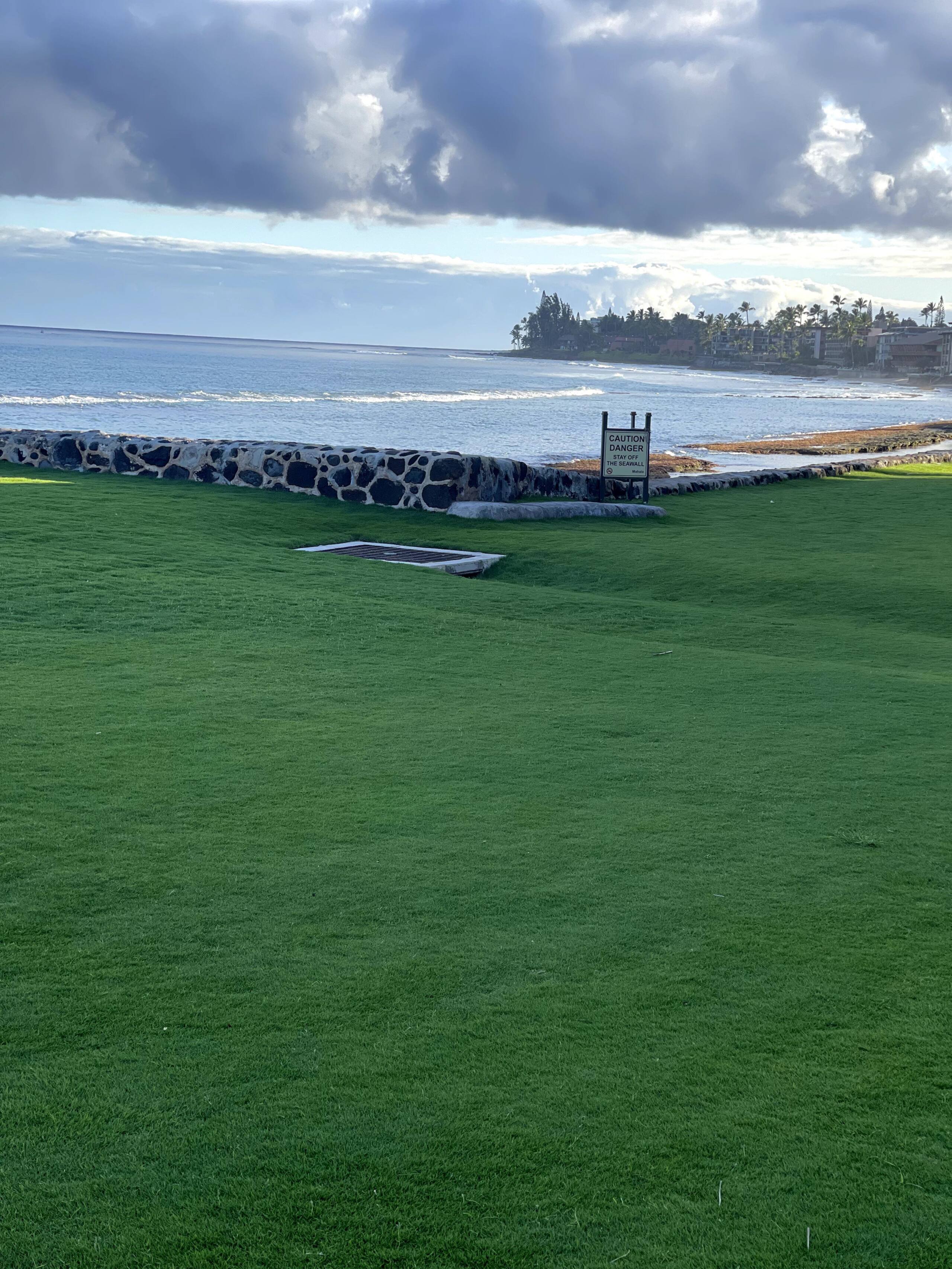 Condo in Lahaina · ★4.59 · 1 bedroom · 1 bed · 1 bath - Image 35