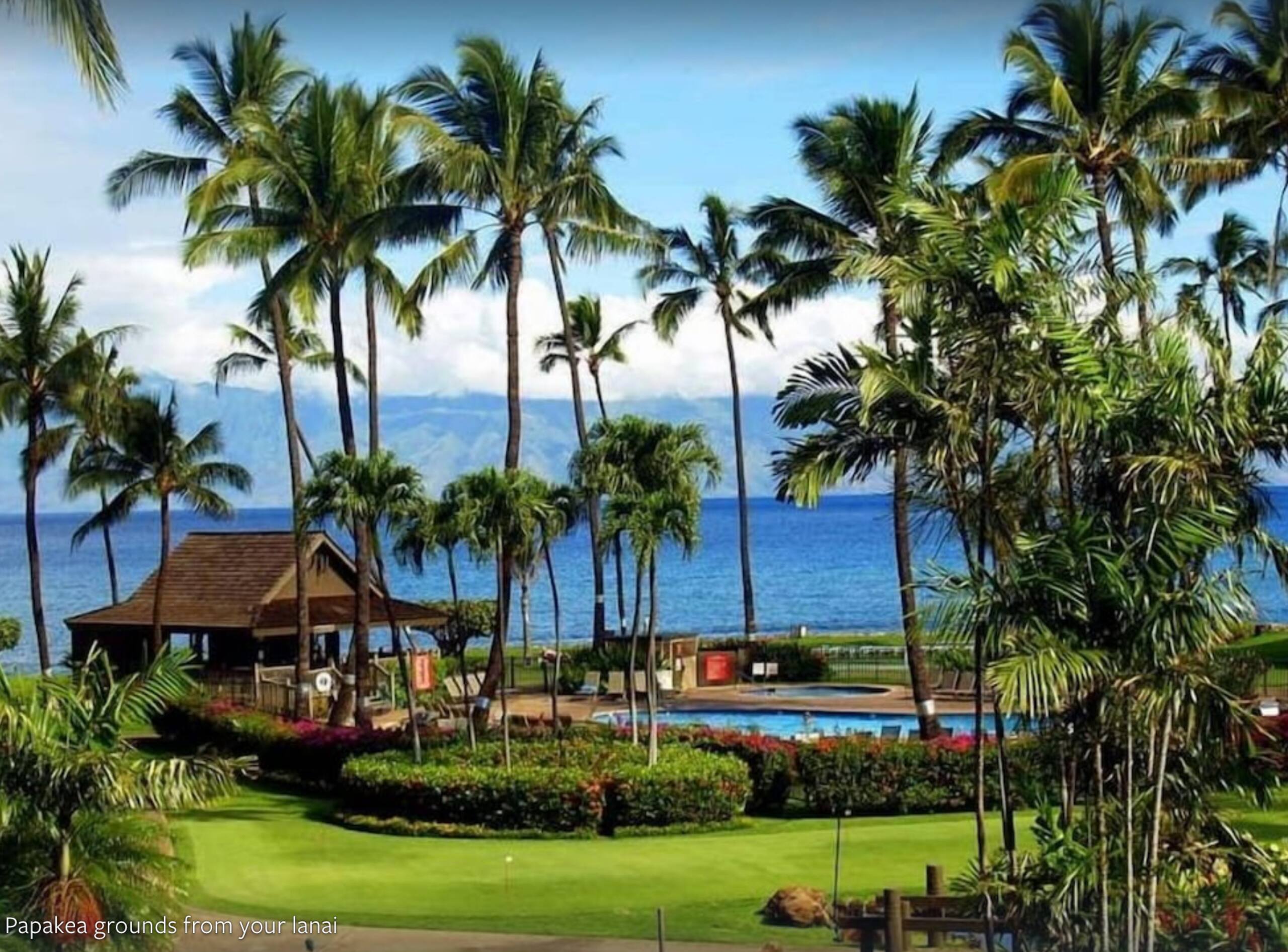 Condo in Lahaina · ★4.59 · 1 bedroom · 1 bed · 1 bath - Image 24