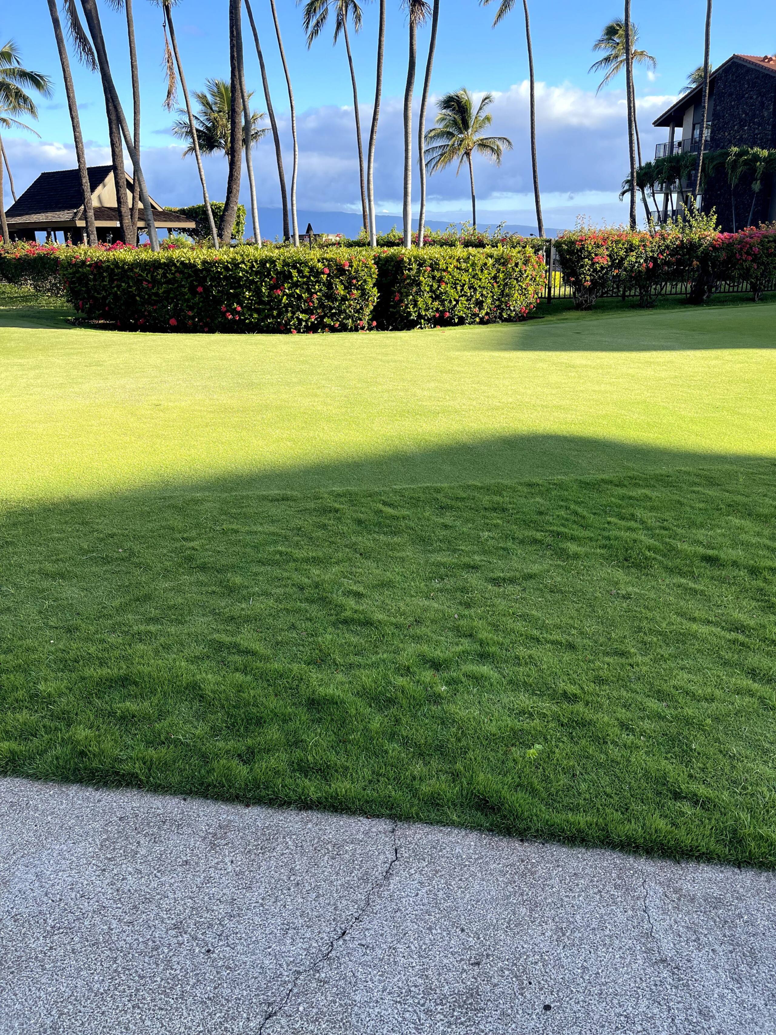 Condo in Lahaina · ★4.59 · 1 bedroom · 1 bed · 1 bath - Image 42