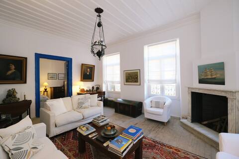 19th century lovely town mansion with garden