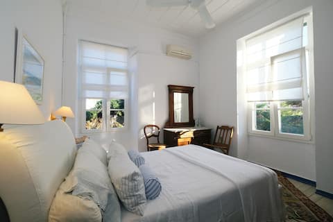 19th century lovely town mansion with garden