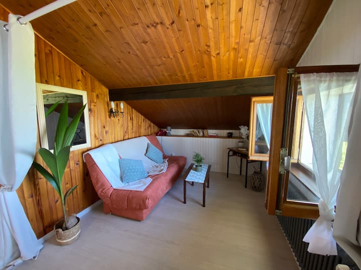 Superbe Appartement Vue Sur Le Lac - Évian-les-Bains