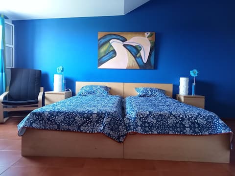 Top Airbnb: Scenic Comfort G: Sea view Double,Single+Sofa Beds em Ponta Delgada