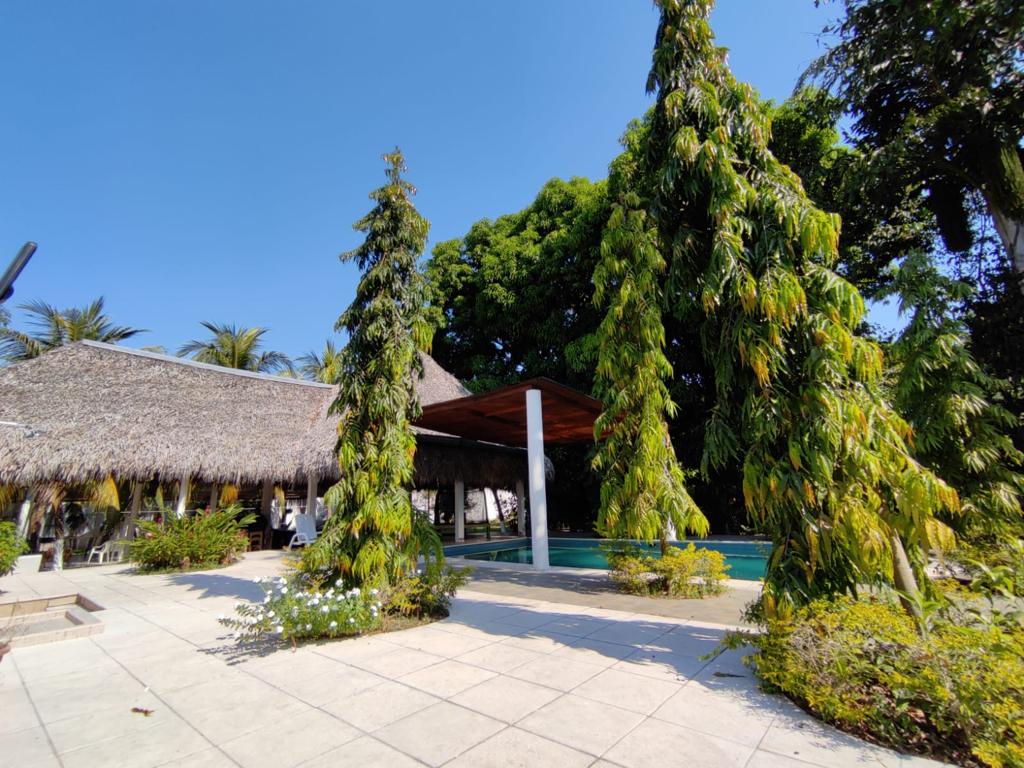 A thatched-roof structure sits surrounded by lush greenery, with tall plants framing a shaded area. A swimming pool is visible nearby, reflecting the clear blue sky. The area is paved with light-colored tiles, enhancing the natural setting.