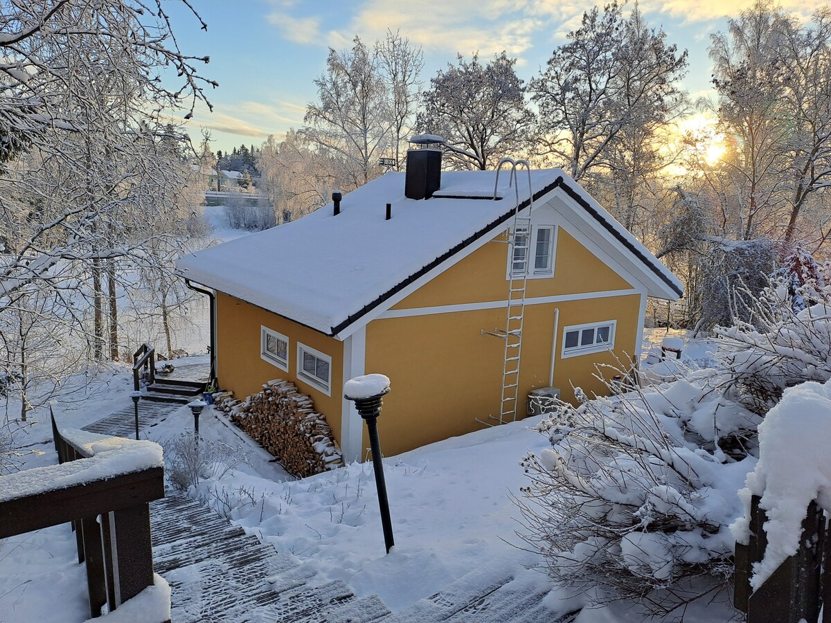 A cozy yellow cottage is nestled among snow-covered trees, with a gentle slope leading to a wooden staircase. A ladder rests against the charming roof, while neatly stacked firewood is visible nearby. The scene is illuminated by a soft winter sunset in the background.