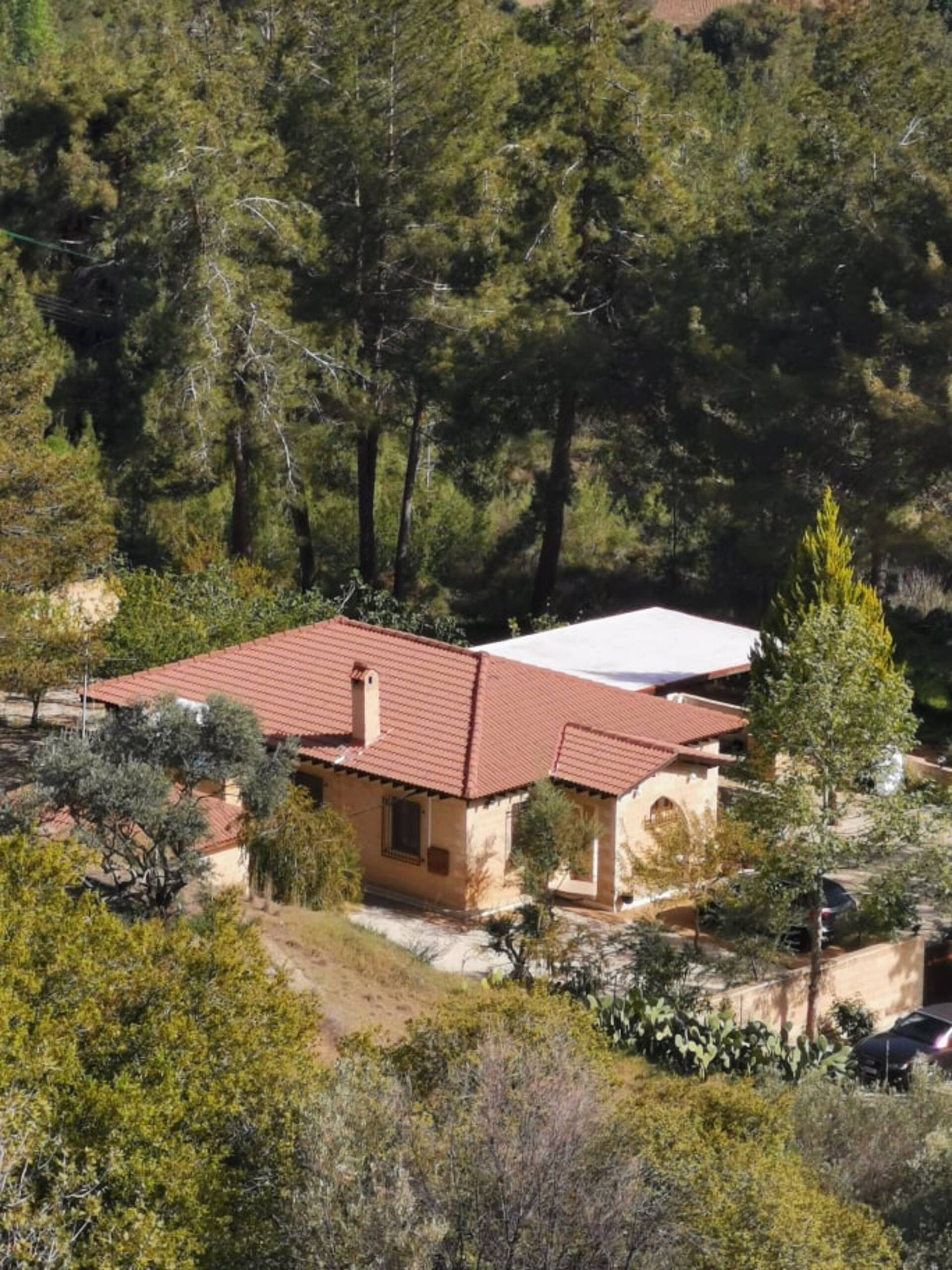 House of Roses — foto 3
