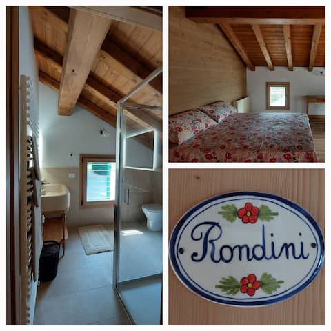 Camera doppia - Rondini